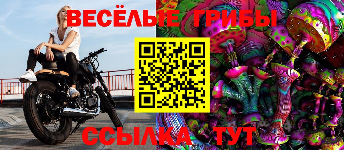 Хасавюрт  Галлюциногенные грибы мицелий  Вход с VPN  Псилоцибиновые грибы прущие грибы 
